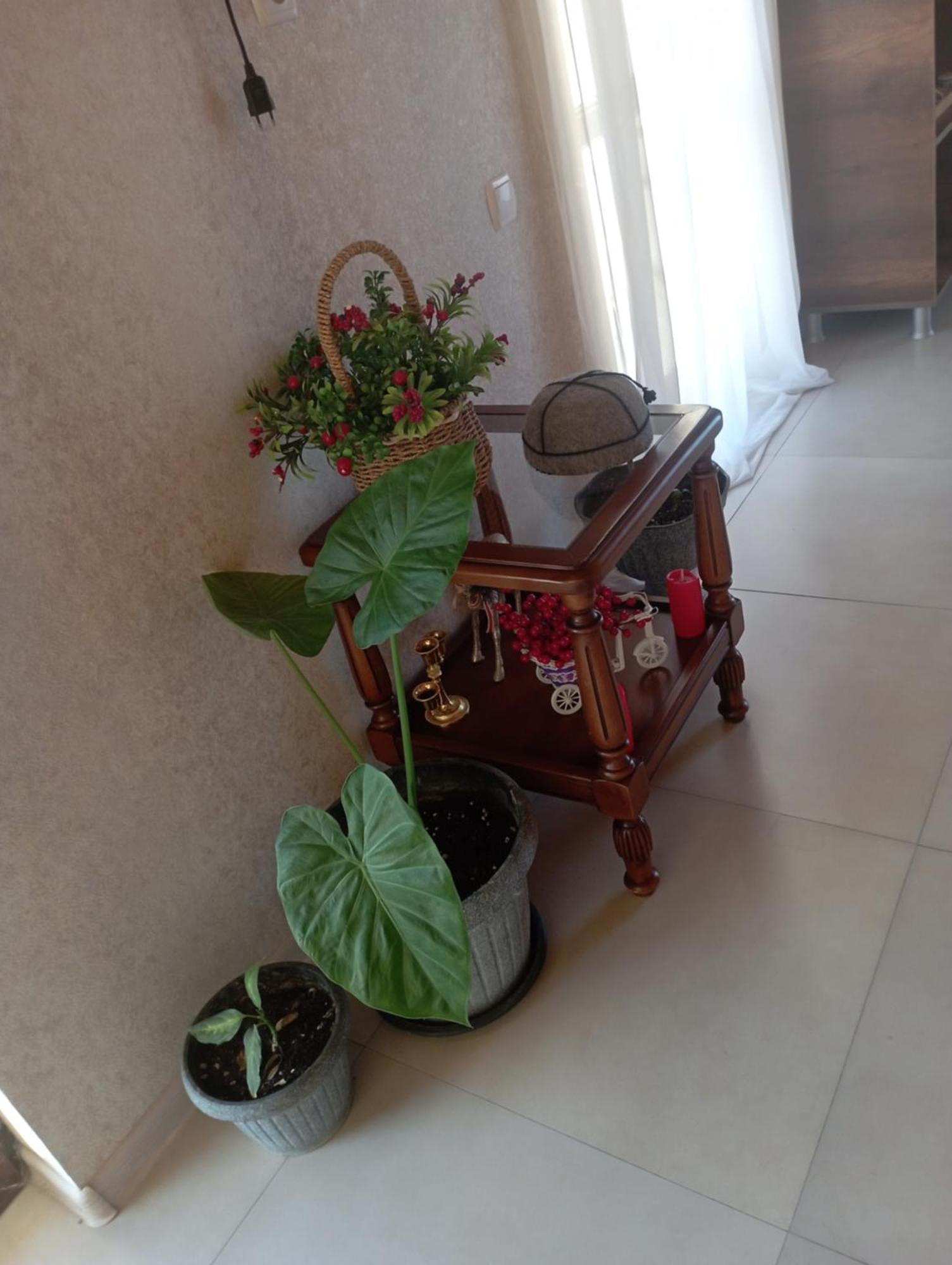 Hotel Marliza Mestia Ngoại thất bức ảnh